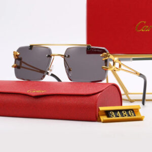 5 Colors Fashion Sunglasses